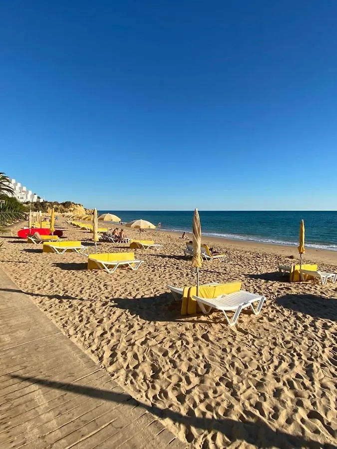 New Algarvegas Paradise Apartment Albufeira