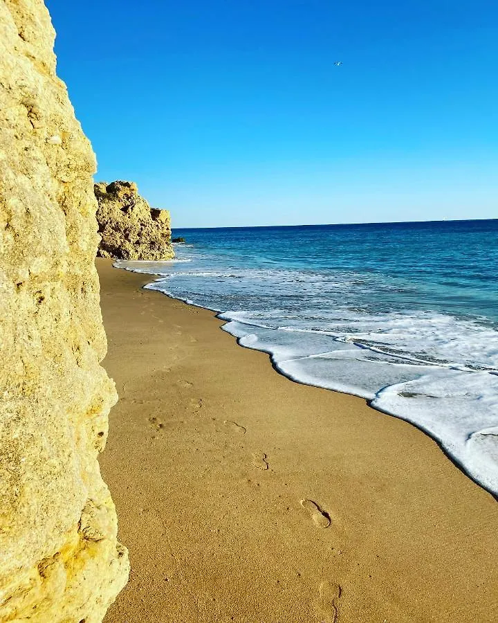 New Algarvegas Paradise Apartment Albufeira